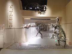 -国家自然博物馆