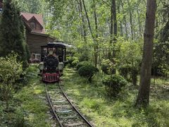 -合肥滨湖国家森林公园