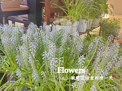 -L.C FLORA花予你(城西银泰城店)