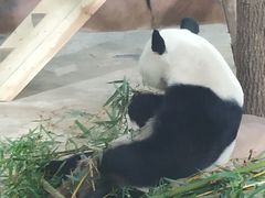 -南宁市动物园