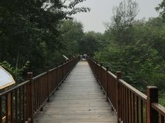 -北京麋鹿生态实验中心