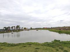 -空港花田景区