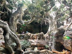 -多彩贵州城极地海洋世界