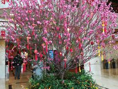 -广州中国市长大厦