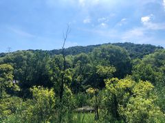 -西湖风景区-江洋畈生态公园