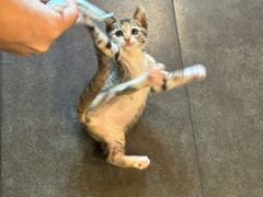 -燕青小馆(东园大厦店)