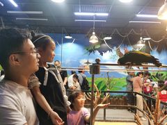 -顺德南宏海立方海洋公园