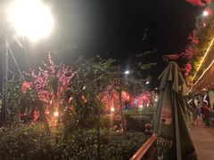 -枇杷园食为鲜火锅(南山店)