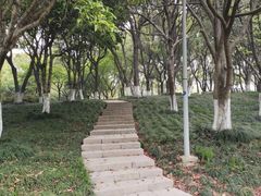 -昆山城市公园