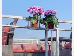 -EATALIA意塔利意式餐厅(鼓楼店)