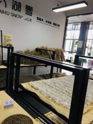 -太湖雪蚕桑文化园