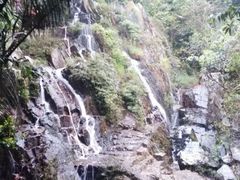 -呀诺达热带雨林