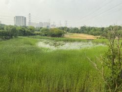 点击看大图 -雅馨国际月子中心