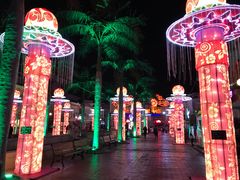 -青岛方特梦幻王国