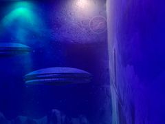 -悦胜酒店(杭州信义坊店)