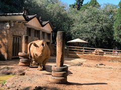 -昆明动物园
