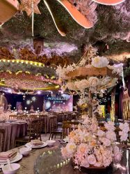 -花嫁丽舍婚礼殿堂(世博江景店)