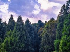 -山王坪喀斯特国家生态公园