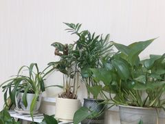 -新励成演讲口才培训(南昌东湖学训中心)