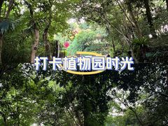 -深圳仙湖植物园