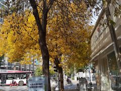 -好利来(槐中店)