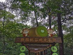 -大岭沟猕猴桃谷风景区