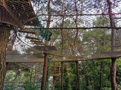 -芦仙山景区-飞越丛林探险乐园