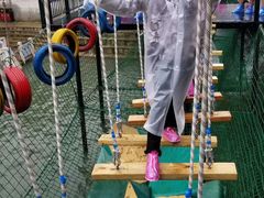 -梦幻奥陶纪景区