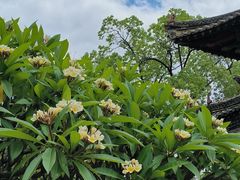 -建水文庙