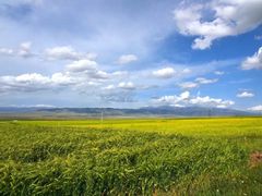 -青海湖国家重点风景名胜区