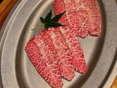 -观品和牛