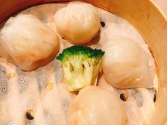 -陶陶居海鲜酒家(新马路店)