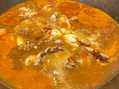 牛蛙火锅-老天桥蛙炉火锅(姑苏总店)