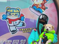 -亚布力新体委滑雪场