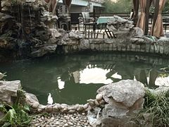 -漫渡庄绿岛花园•隐世庭园菜(滨湖店)