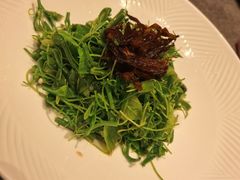 -醉东Oriental House(静安嘉里中心店)