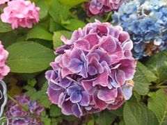 -共青国家森林公园-售票处