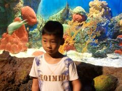 -洛阳龙门海洋馆
