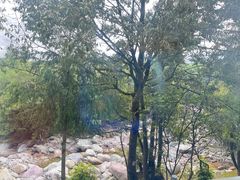 -冕宁灵山寺