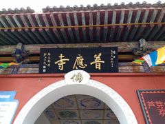 -芦芽山旅游度假区