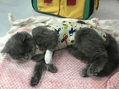 -达爱动物医院·犬猫分区·CT·复杂眼科(远洋山水分院)