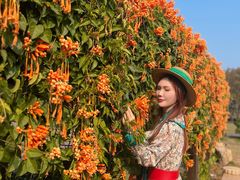 -龙环葡韵住宅式博物馆