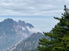 -黄山风景区