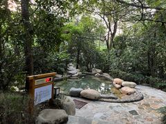 -天目湖涵田半山温泉