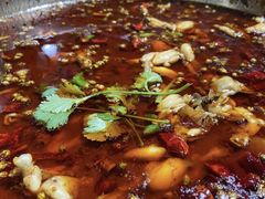 -味之绝美蛙鱼火锅(八号路店)