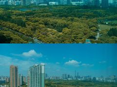 -上海浦东嘉里大酒店