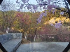 -世间香境·七溪地