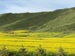 -扁都口生态休闲旅游区