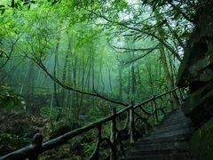 -藏龙百瀑风景区