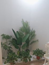 -VE专注问题肌·赛诺龙&科学美肤中心